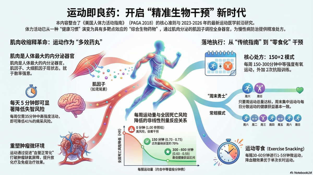 医疗新播客：运动即良药